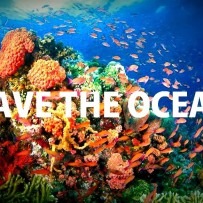 Bescherm Onze Oceanen – Consumeer Algen! Geen Vis!